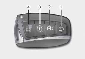 Hyundai Santa Fe: Smart key function. 