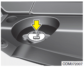 Hyundai Santa Fe: Checking the coolant level. WARNING