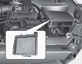 Hyundai Santa Fe: Engine compartment fuse panel. 