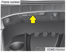 Hyundai Santa Fe: Vehicle identification number (VIN). The vehicle identification number (VIN) is the number used in registering your