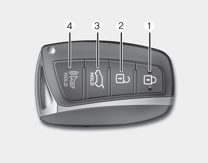 Hyundai Santa Fe >> Operating door locks from outside the