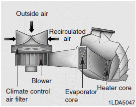 Hyundai Santa Fe: Climate control air filter. The climate control air filter installed behind the glove box filters the dust