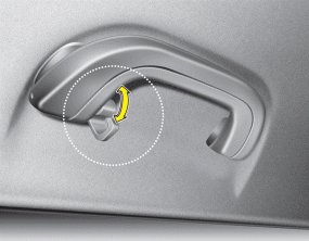 Hyundai Santa Fe: Clothes hanger. To use the hanger, pull down the upper portion of hanger.