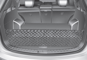 Hyundai Santa Fe: Luggage net (holder). Type B