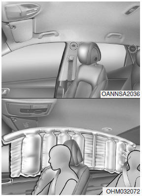 Hyundai Santa Fe: Curtain air bag. ❈ The actual air bags in the vehicle may differ from the illustration.