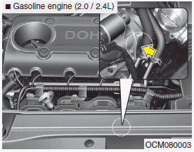 Hyundai Santa Fe: Engine number. The engine number is stamped on the engine block as shown in the drawing.